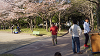 hana26 (340)_thumb.png